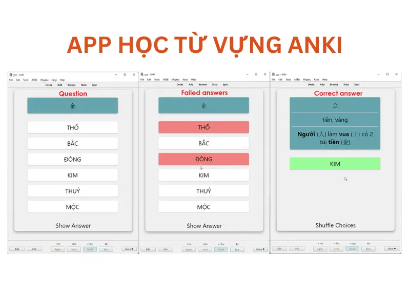 Giao diện app Anki